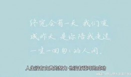 情感语录最新爆料文案,最新爆料，揭开心灵深处的故事